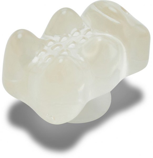 Crocs Jibbitz Haribo Golden Bear White 10014528
