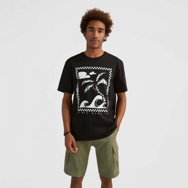 O'Neill Férfi Póló Fin T-Shirt 2850120-19010
