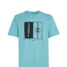 O'Neill Férfi Póló Mix & Match Palm T-Shirt 2850202-15057