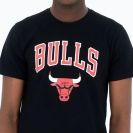 New Era Férfi Póló MAJICA NOS NBA REGULAR TEE CHIBUL 60416749