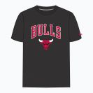 New Era Férfi Póló MAJICA NOS NBA REGULAR TEE CHIBUL 60416749