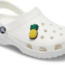Crocs Jibbitz Pineapple 10007217