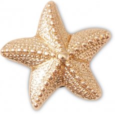 Crocs Jibbitz Gold Star Fish 10011621