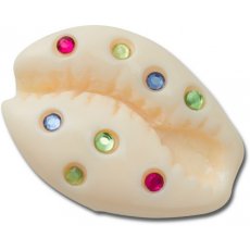 Crocs Jibbitz Gem Puka Shell 10015350