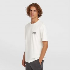 O'Neill Férfi Póló Original Cali Logo T-Shirt 2850309-11010